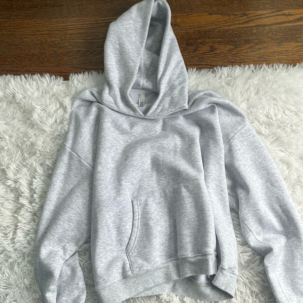 Light grey skims hoodie
